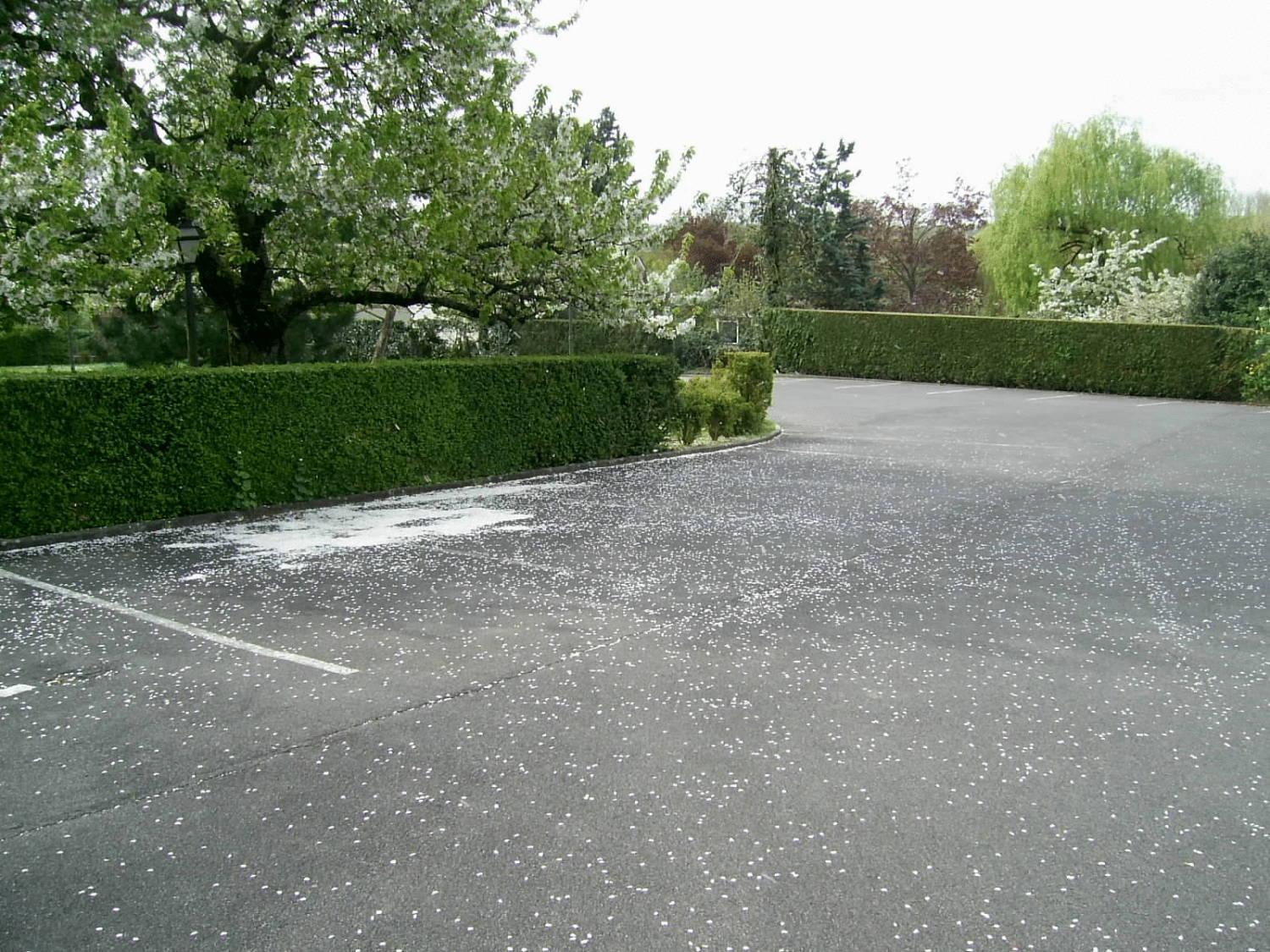 Belvedere Montargis Amilly Esterno foto